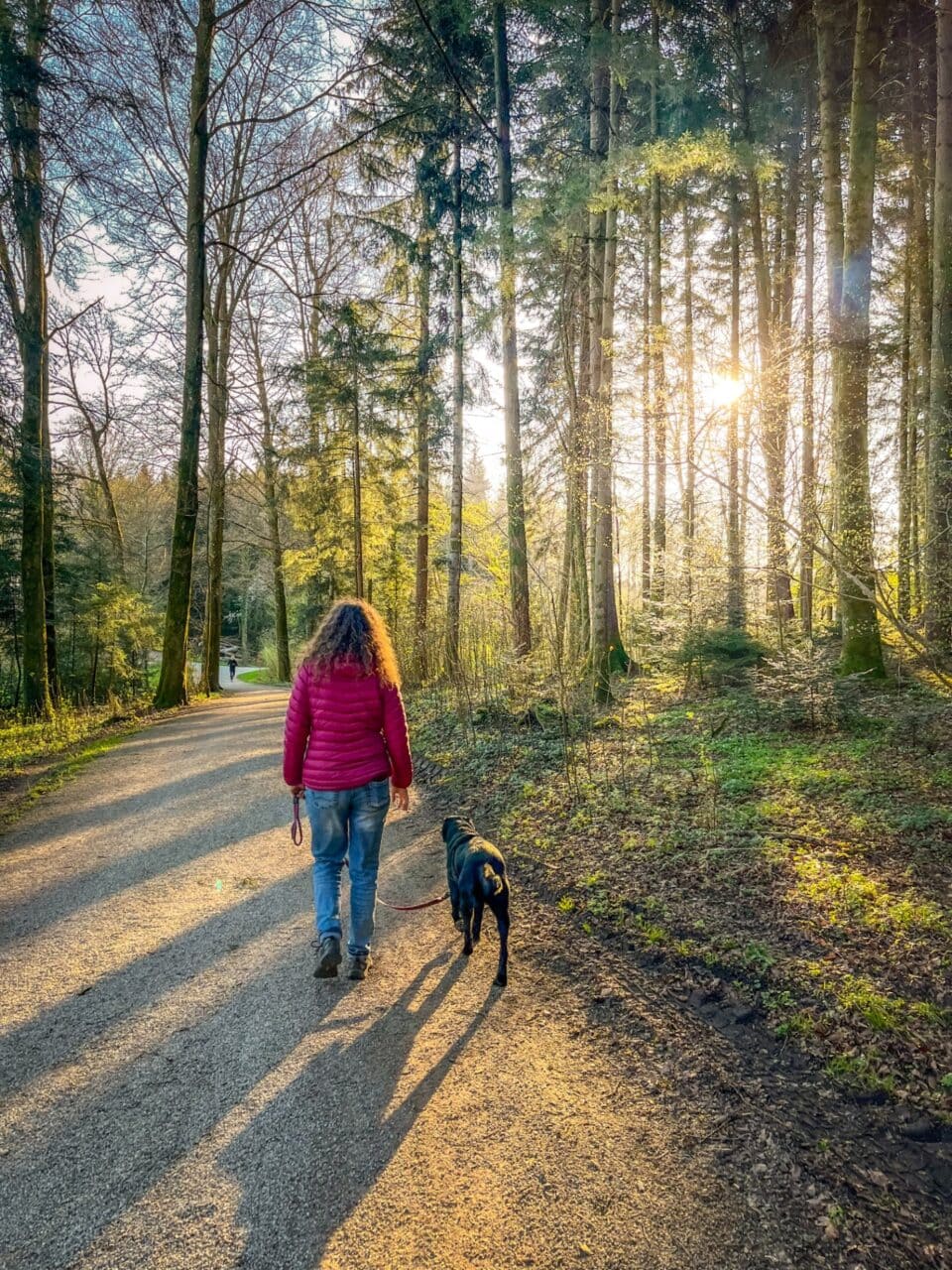 Frau mit Hund geht im Wald spazieren.
